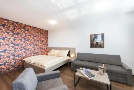 Barok and Apartments - 49