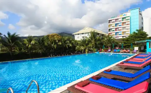 Samui Verticolor - 15