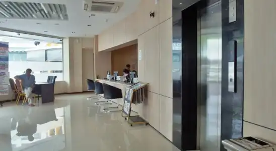 Mandarin - 13