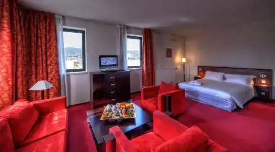 Radisson Clermont-Ferrand - 76
