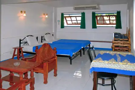 Niku Guesthouse - 13