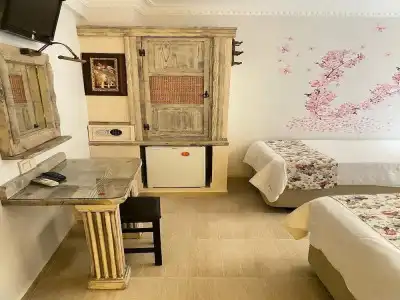 Golden Stone Butik Otel - 16