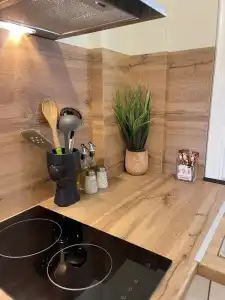 Arial Penthouse Suites - 309
