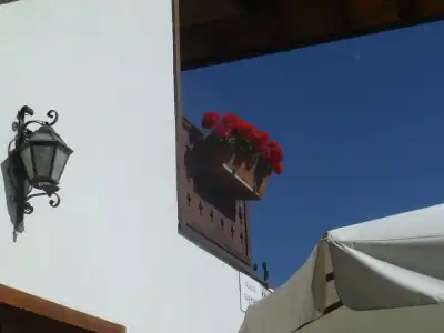 Santa San - 48