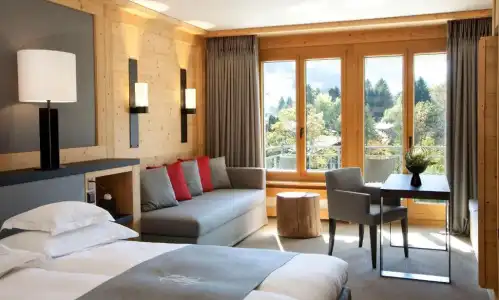 Park Gstaad - 47