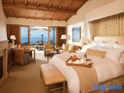 The Resort at Pelican Hill - 81