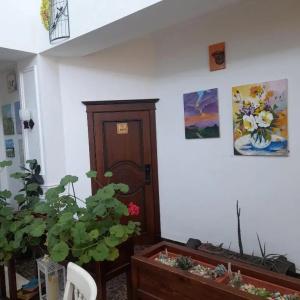 Casa de Higos - 6