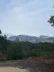yenivadi - 2