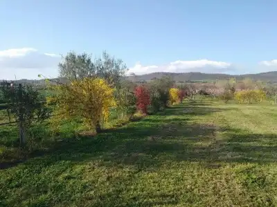 La Fraschetta - 34