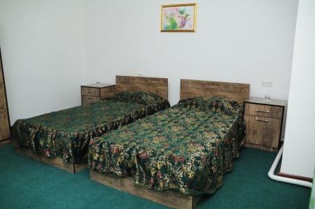 Green House Bukhara - Hostel - 36