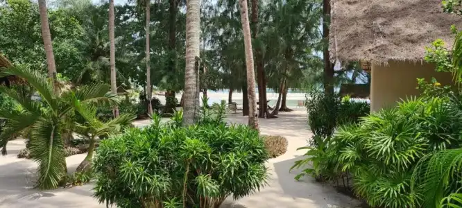 Angkana Bungalows Adults Only - 37