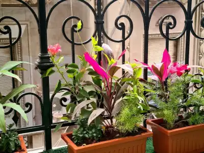 The Australian Hostel - 51