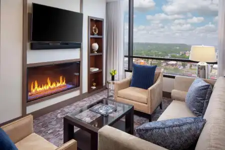 DoubleTree by Hilton Rochester Mayo Clinic Area - 102
