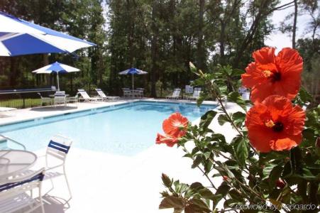 Hampton Inn Charleston - Daniel Island - 9