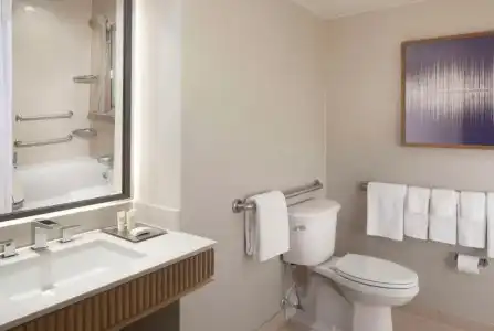 Hilton Anatole - 6