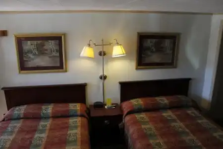 Happy Bear Motel - 3