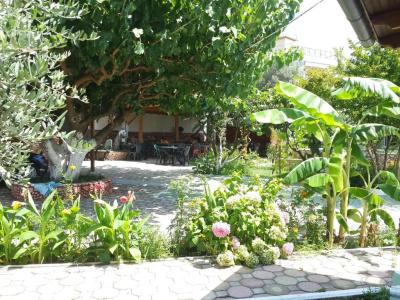 Yard Paradise - 2