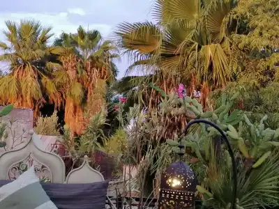 Riad Swaka - 13