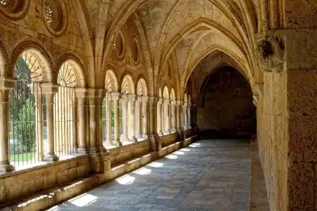 Alfreds Beaune La Madeleine - 14