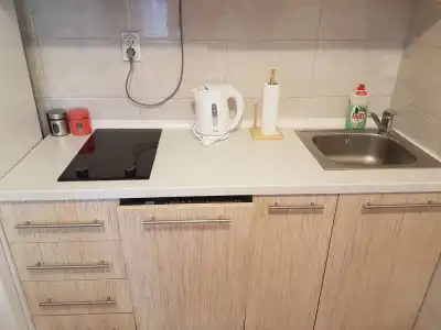 Apartments Lazarevic - 23