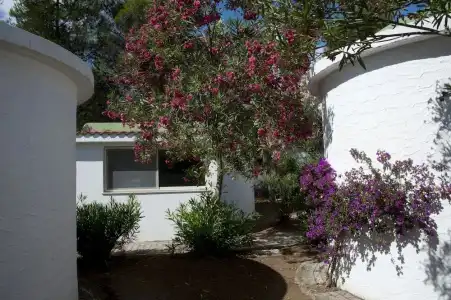 Villaggio Capo Vieste Camping - 40