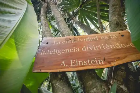 Wakax Hacienda - Cenote & Boutique - 24