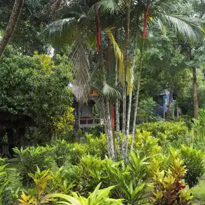 Tree Top River Huts - 49