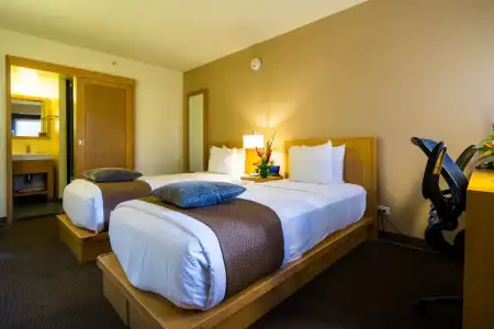 Vive Waikiki - 3