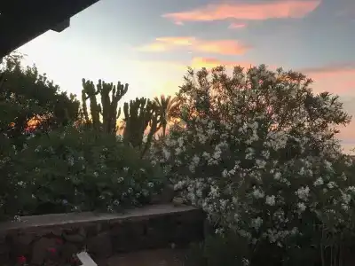 I Dammusini di Pantelleria - 75