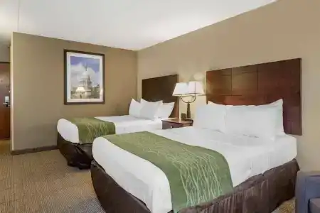 Comfort Inn Lansing West - 38
