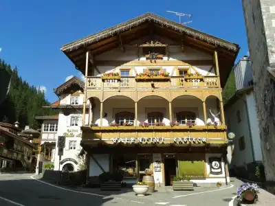 Garn Stella Alpina - 0
