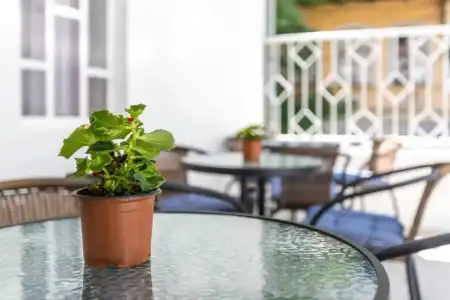 Guest House Nana - 13