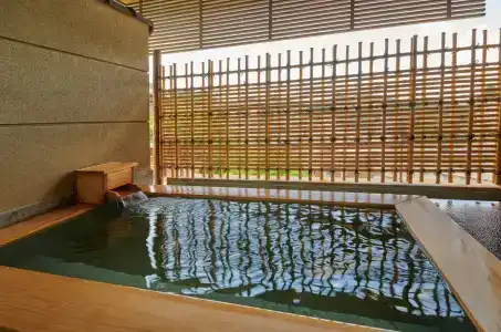 Arima Onsen Takayamaso Hanano -Adult only- - 17