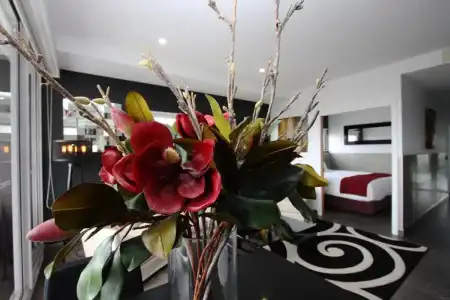 Honeysuckle Executive Apartments - 100