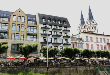 RheinLilie - 0