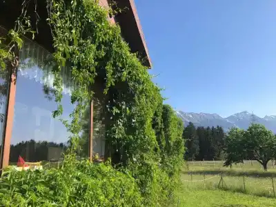 LandGasthof Eichhof - 12