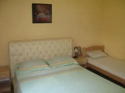 Apartments Pejanovic - 33