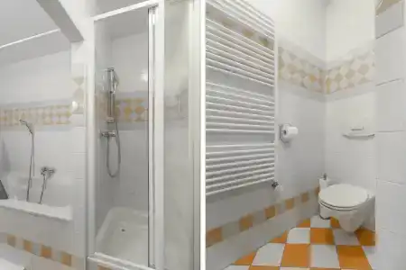 Slovansky Dum Boutique Apartments - 6