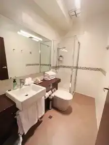 QUALITY INN HERITAGE ON LYDIARD - 14