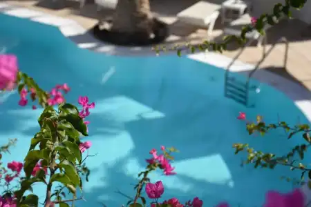 Arion Bay - 29