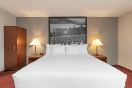 Quality Inn & Suites - 41