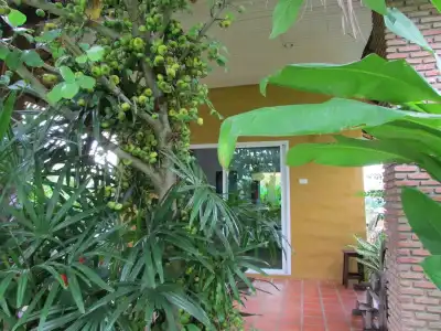 The Park Drive-Thru Check-In Resort - 26