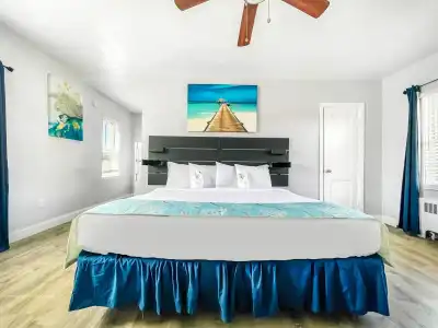 The Palms - 5