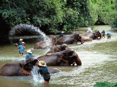 Mövenpick Suriwongse Chiang Mai - 48