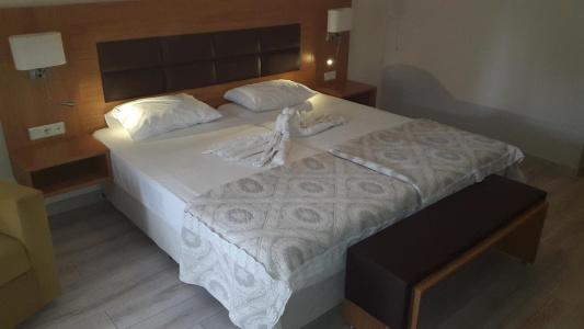 Begonville - 4