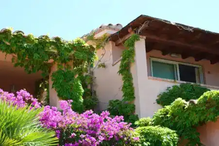 Residence Fenicia - 48