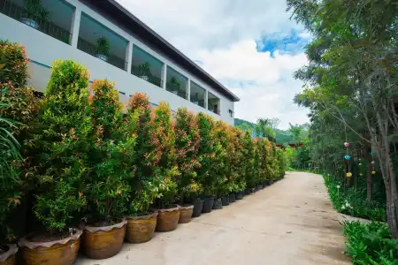 Charming in Khao Yai - 20