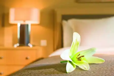 Mövenpick Suriwongse Chiang Mai - 58