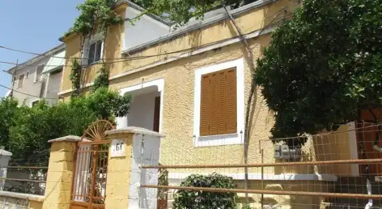 Dolphin Hostel - 0