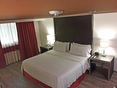 Holiday Inn Zona Centro by IHG - 38